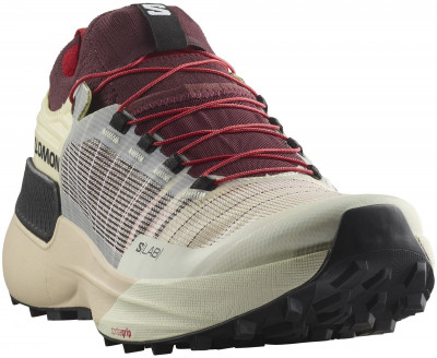 Salomon S/Lab Genesis Shoe