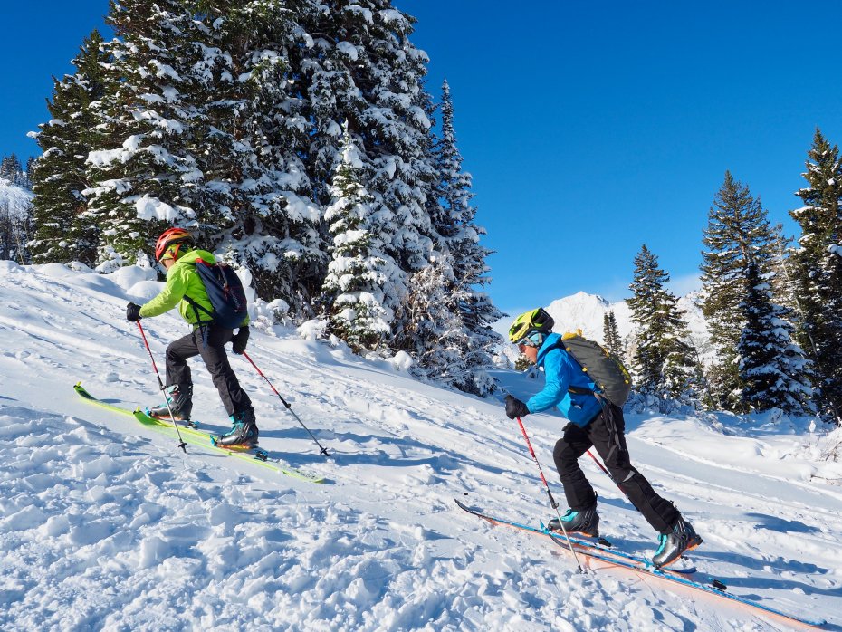 https://skimo.co/image/data/articles/2021/kids-skinning-backcountry-skiing-junior.jpg